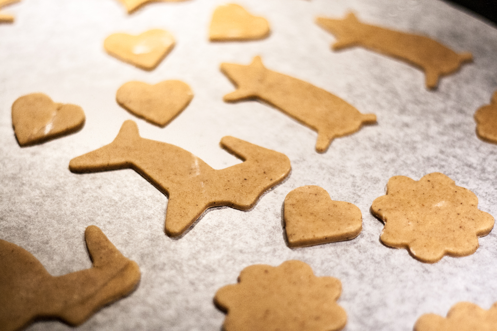 Beppa Rakko Swedish pepparkakor – Fanny Zanotti